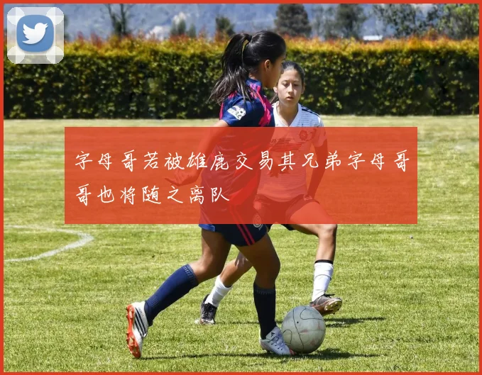字母哥若被雄鹿交易其兄弟字母哥哥也将随之离队