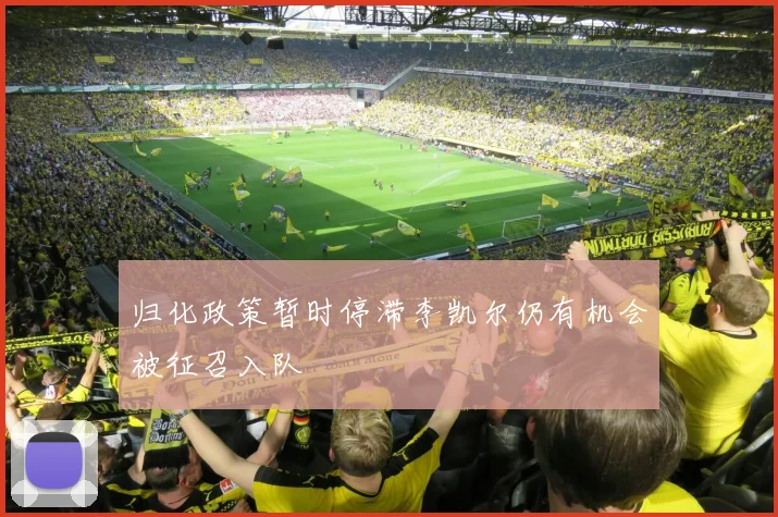 归化政策暂时停滞李凯尔仍有机会被征召入队
